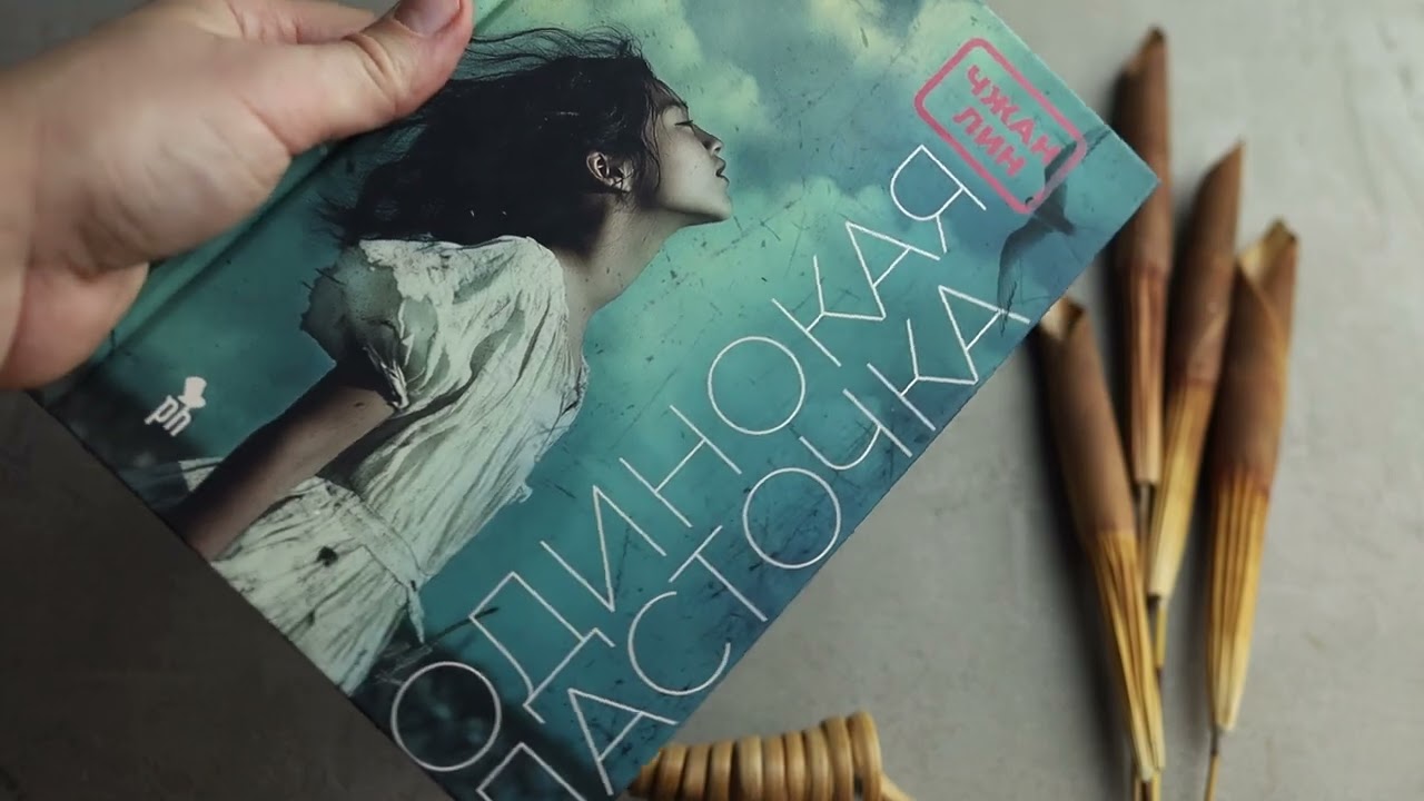 Книга Одинокая ласточка (Чжан Лин) — 3
