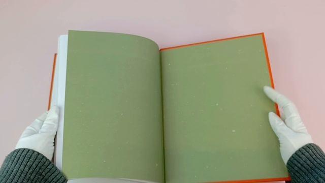 Книга Чёрная курица. Сказки (ил. М. Митрофанова) (Владимир Одоевский, Сергей Аксаков) — 3