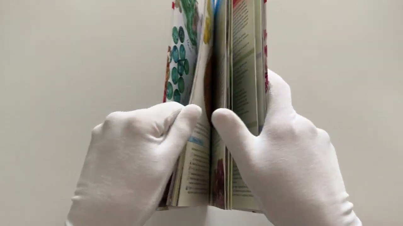 Книга Минералы России. Определитель (Михаил Генералов) — 4