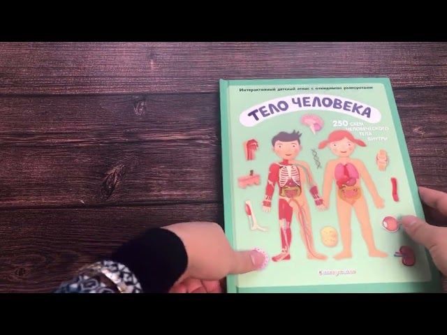 Книга Тело человека. Интерактивный детский атлас с откидными разворотами (Олдрих Ружичка) — 3