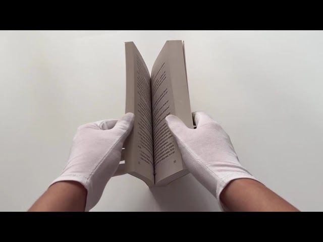 Книга Жажда жизни (Ирвинг Стоун) — 3