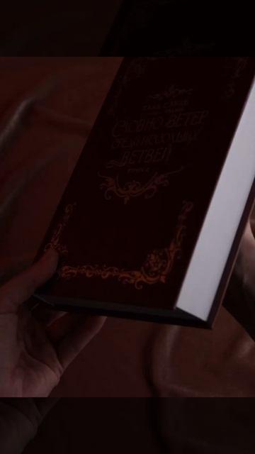 Книга Словно ветер среди иссохших ветвей. Книга 2 (Словно ветер на сухой ветви / Like Wind on a Dry Branch). Новелла (Таль Сэуль) — 3