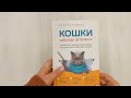 Кошки. Сам себе ветеринар: как оказать первую помощь кошке и не пропустить симптомы болезни — 3016191 — 3