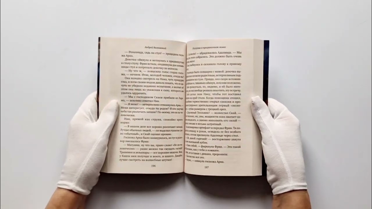 Книга Убийство в приграничном замке (#4) (Андрей Волковский) — 4