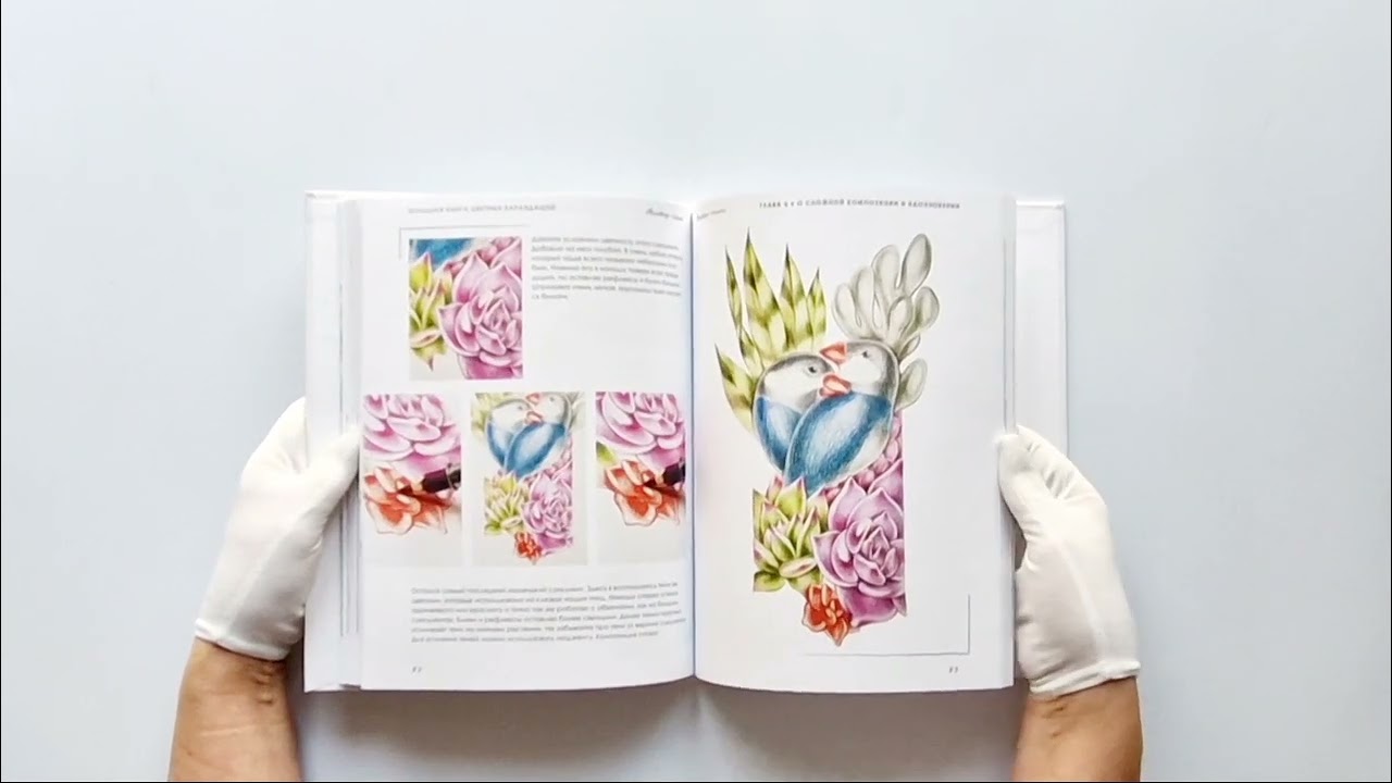 Книга Большая книга цветных карандашей.Полное руководство по работе с нуля (Ангелина Небренчина) — 3