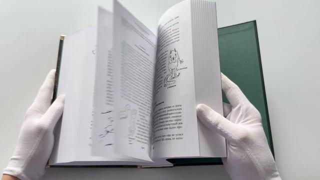 Книга Рольф в лесах. Лесные рассказы (Эрнест Сетон-Томпсон) — 4