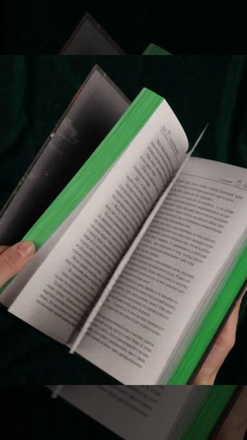 Книга Скверная. Специальное издание (Эмили Макинтайр) — 3