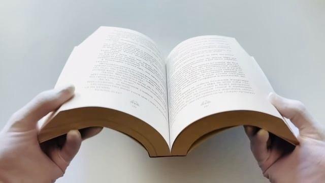 Книга Злодей и фанатка (Фэя Моран) — 3