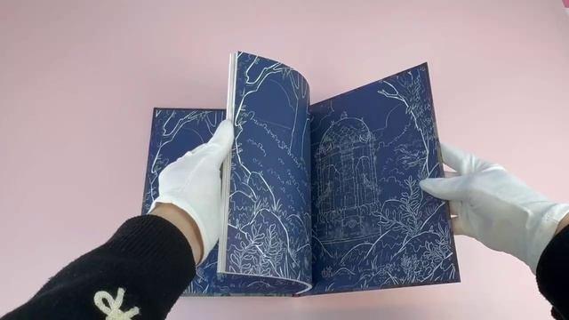 Книга Амелия Вудс. Том 2. Тайное общество (Морган Ляфий) — 3