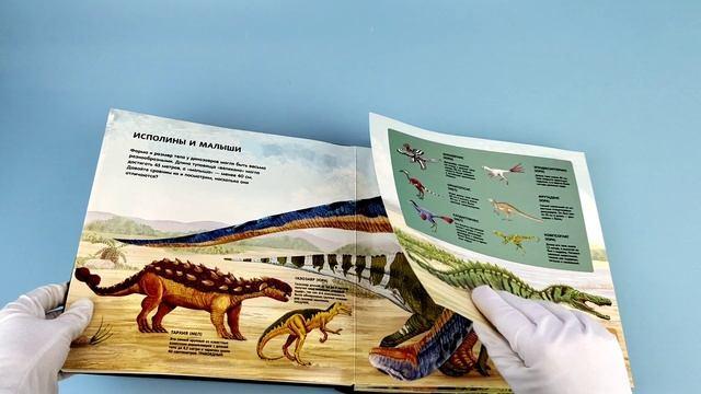 Книга Динозавры. Гиганты, жившие до начала времен (Ми Тун) — 3