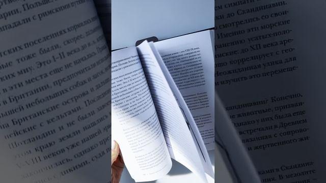 Книга Котики в мировой культуре. Как котики проникли не только в наши дома и сердца, но и в наши сны, сказки и заклинания (книга+закладка) (Анна Гребенникова) — 3