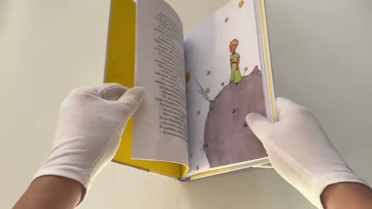 Книга Маленький принц (Антуан де Сент-Экзюпери) — 3