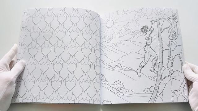 Книга Официальная раскраска по книге и стикерпак «Четвертое крыло» (Ребекка Яррос) — 3