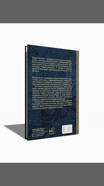 Книга Древняя Ирландия: герои и викинги, проклятия и молитвы (Дарья Ильгова) — 3