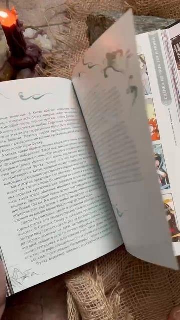 Книга Небожители и чудовища мифического Китая. Сыновья Дракона, герои и злодеи великих гор и морей (Екатерина Синельщикова) — 3