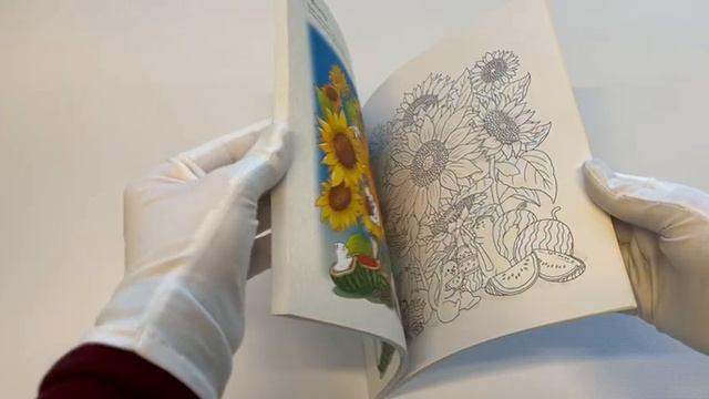Книга Летним днем в Корее. Раскраски-антистресс, которые подарят теплые чувства (Чон Сон Джин) — 3