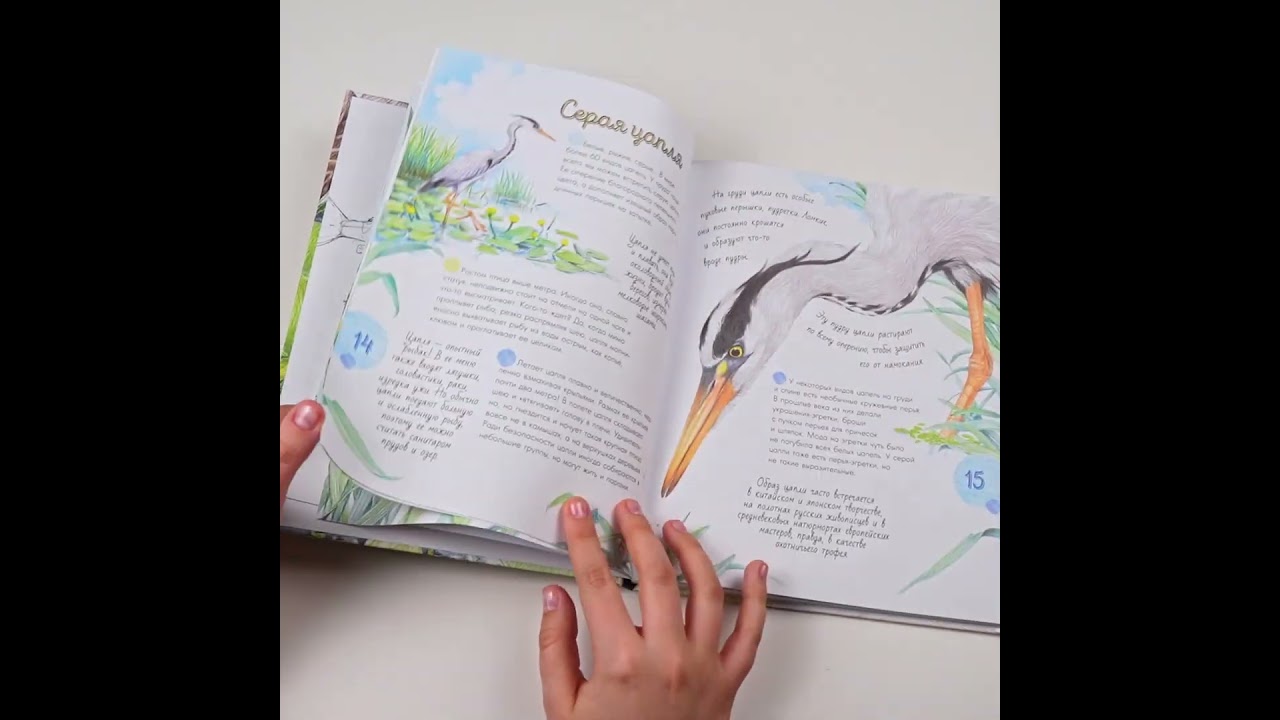 Книга Жизнь пруда (Наталья Габеева) — 3