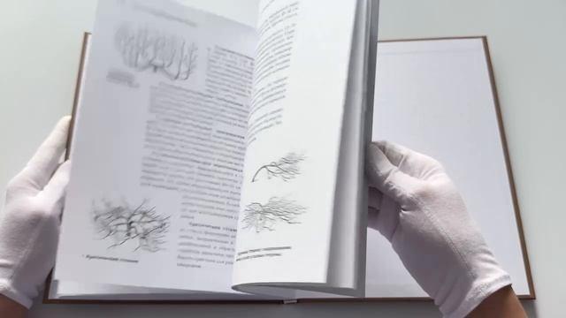 Книга Обрезка садовых деревьев. Экспертное руководство по созданию плодового сада (Роман Кудрявец) — 3