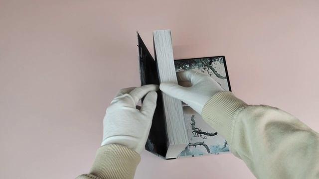 Книга Рыцарь, маг и пешка (Алиса Вишинград) — 3