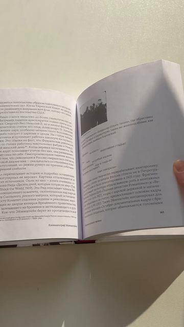 Книга Кинематограф Эйзенштейна. От "Стачки" до "Ивана Грозного" (Дэвид Бордуэлл) — 3