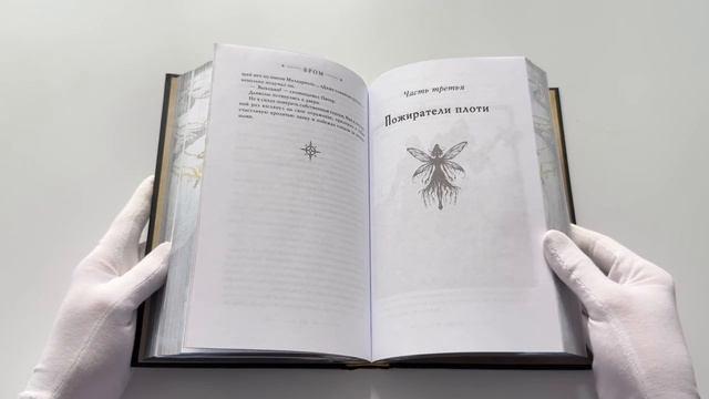 Книга Похититель детей (Джеральд Бром) — 4