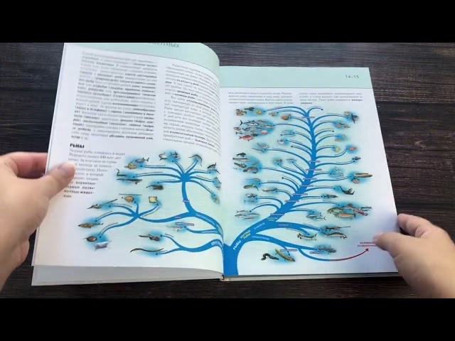 Книга Подводный мир. Полная энциклопедия. (Юлия Школьник) — 3