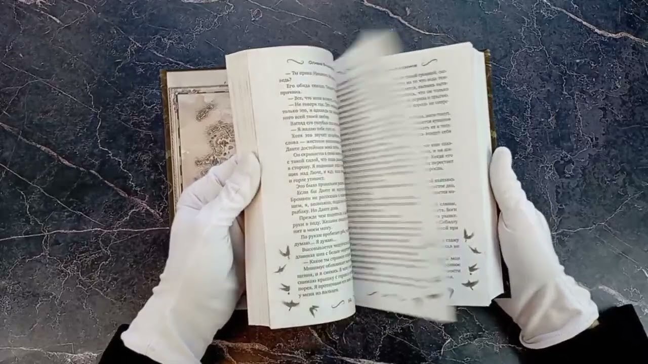 Книга Дом железных воронов (#1) (Оливия Вильденштейн) — 3
