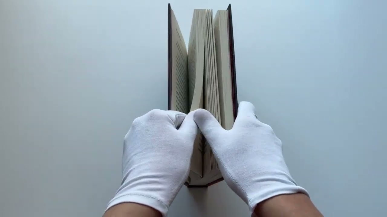 Книга Пока играет музыка (Мария Коноплястая) — 3