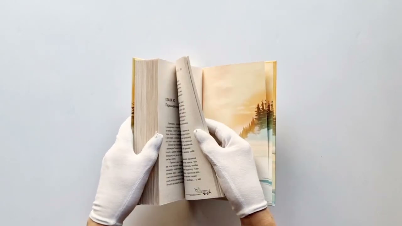 Книга Первым делом самолёты (Лада Шведова) — 3