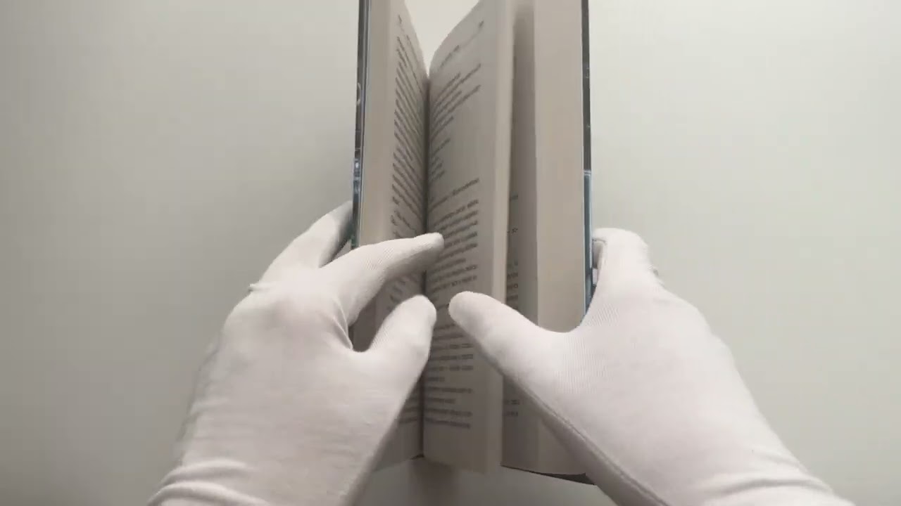 Книга Блуждающая Огневая Группа (БОГ): Я есть гнев! (Василий Головачёв) — 3