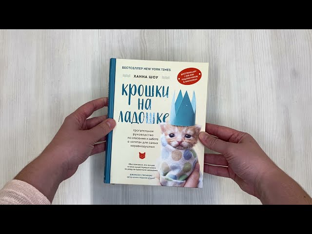 Книга Крошки на ладошке. Трогательное руководство по спасению и заботе о котятах для самых неравнодушных (Ханна Шоу) — 3