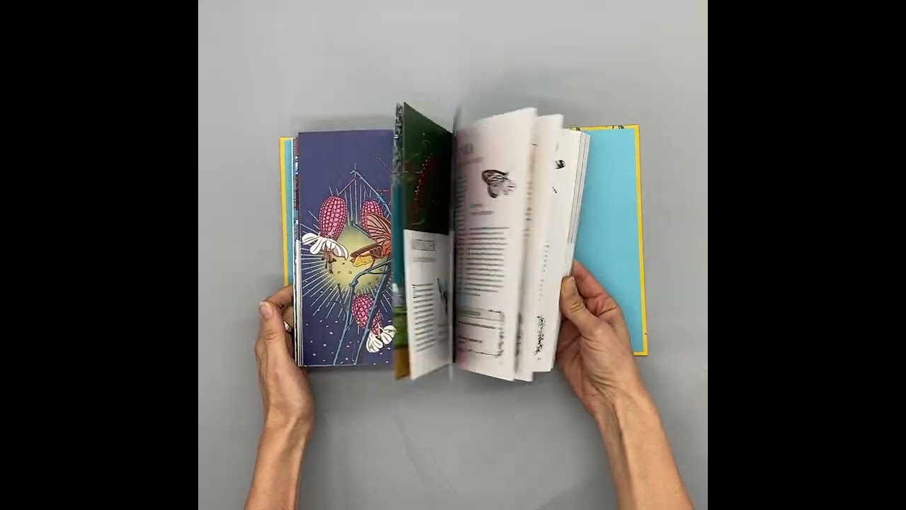 Книга Животные-целители. Волки, лисы, совы и другие дикие животные-архетипы, которые помогут разобраться в себе и исцелят вашу душу (Федерика Зиццари) — 3