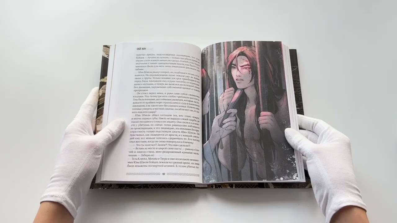 Книга Клинок Журавля. Хроники Ведомства наказаний (#1) (Хоу Тай) — 3