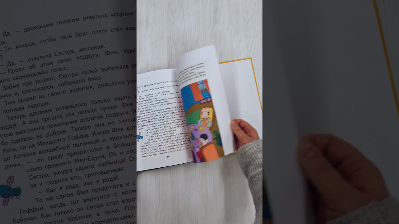 Книга Тим, Муха и Озорная Фея (Екатерина Пёрышкина) — 3
