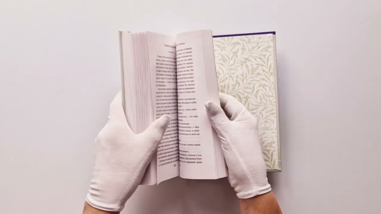 Книга Унесенные ветром. Любовь в Голливуде (Шарлотта Леонард) — 3