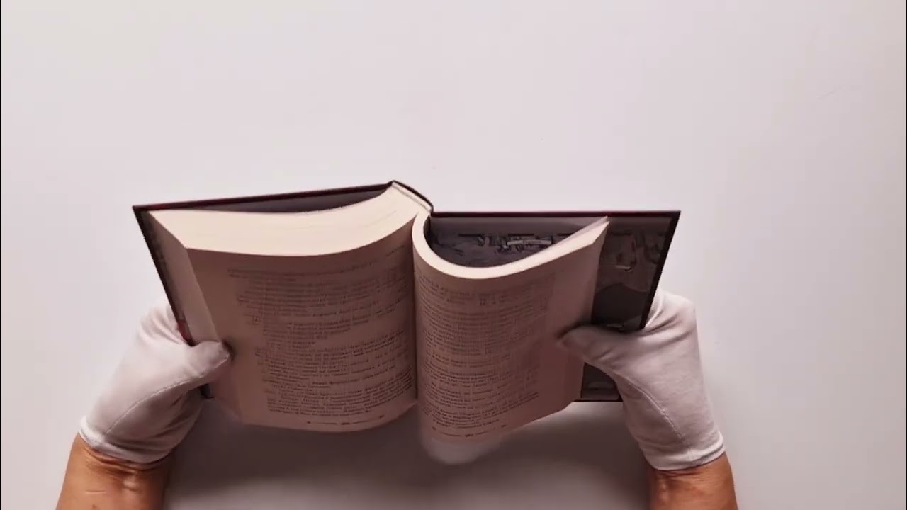 Книга Рассеивая сумрак. Раб и меч (Сэм Альфсен) — 3
