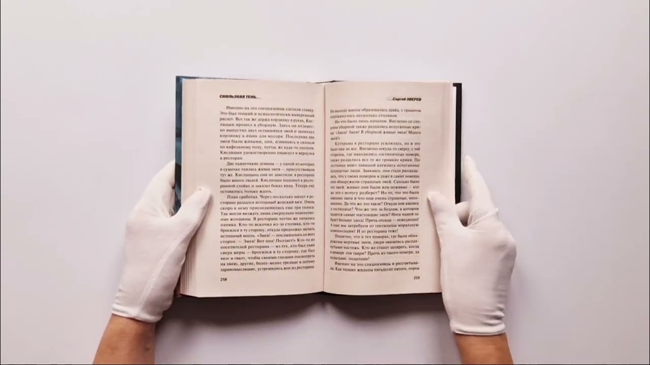 Книга Скользкая тень (Сергей Зверев) — 3