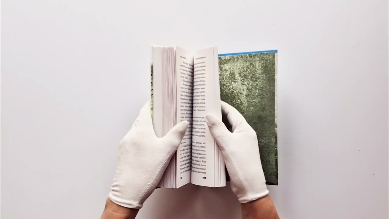 Книга Тайный наблюдатель (Мария Скрипова) — 5