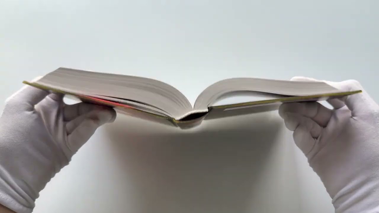 Книга День зимнего солнцестояния (Унаи Гойкоэчеа) — 3