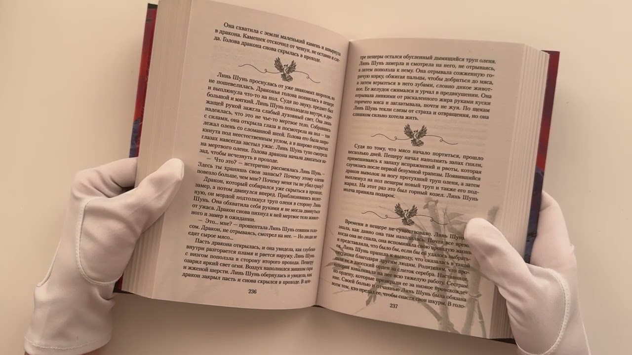 Книга Последний дракон Цзянху (Ши Лин) — 3