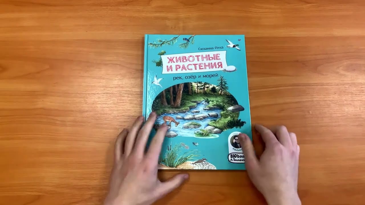Книга Животные и растения рек, озёр и морей. BIObook А. Толмачёва (Сюзанна Риха) — 3
