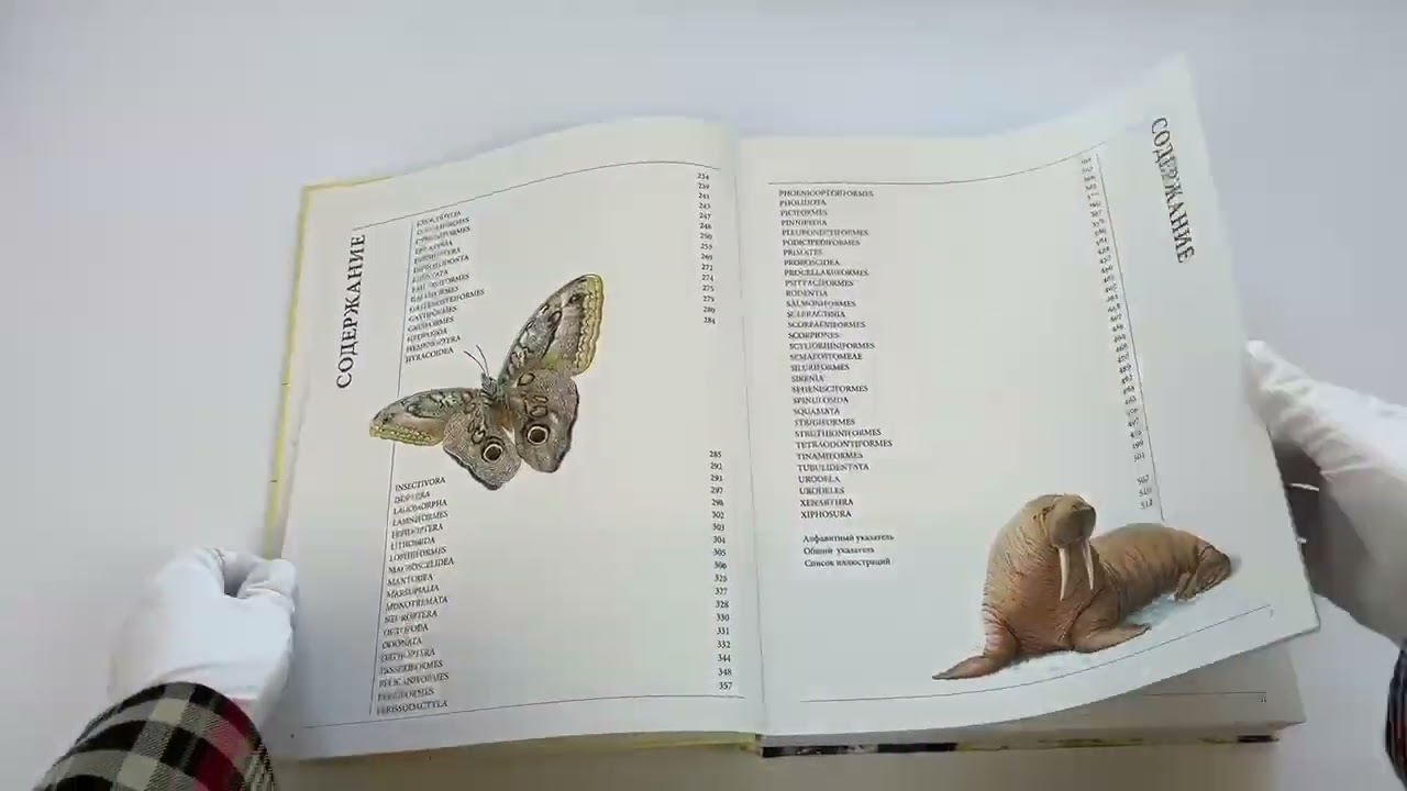 Книга Животные мира. Моя большая энциклопедия () — 3