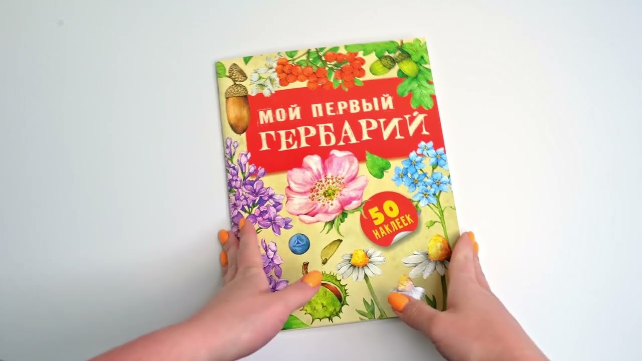 Книга Мой первый гербарий (Ксения Дудова) — 3