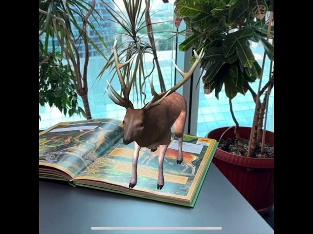Книга Животные нашей планеты (Елена Папуниди, Дмитрий Кошевар) — 3