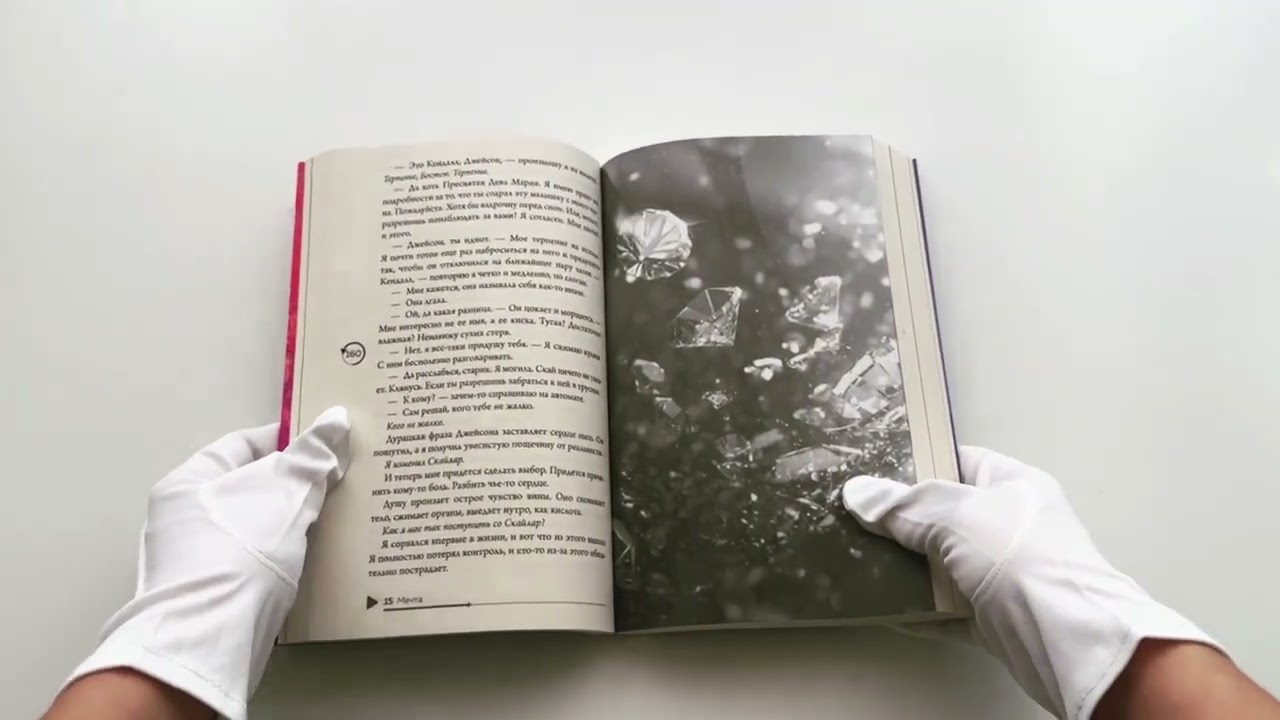 Книга В сердце Бостона. Демоны внутри нас (Таша Мисник) — 4
