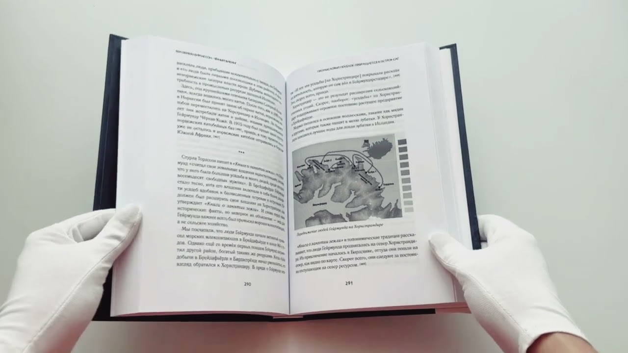 Книга Чёрный Викинг (Бергсвейн Биргиссон) — 3