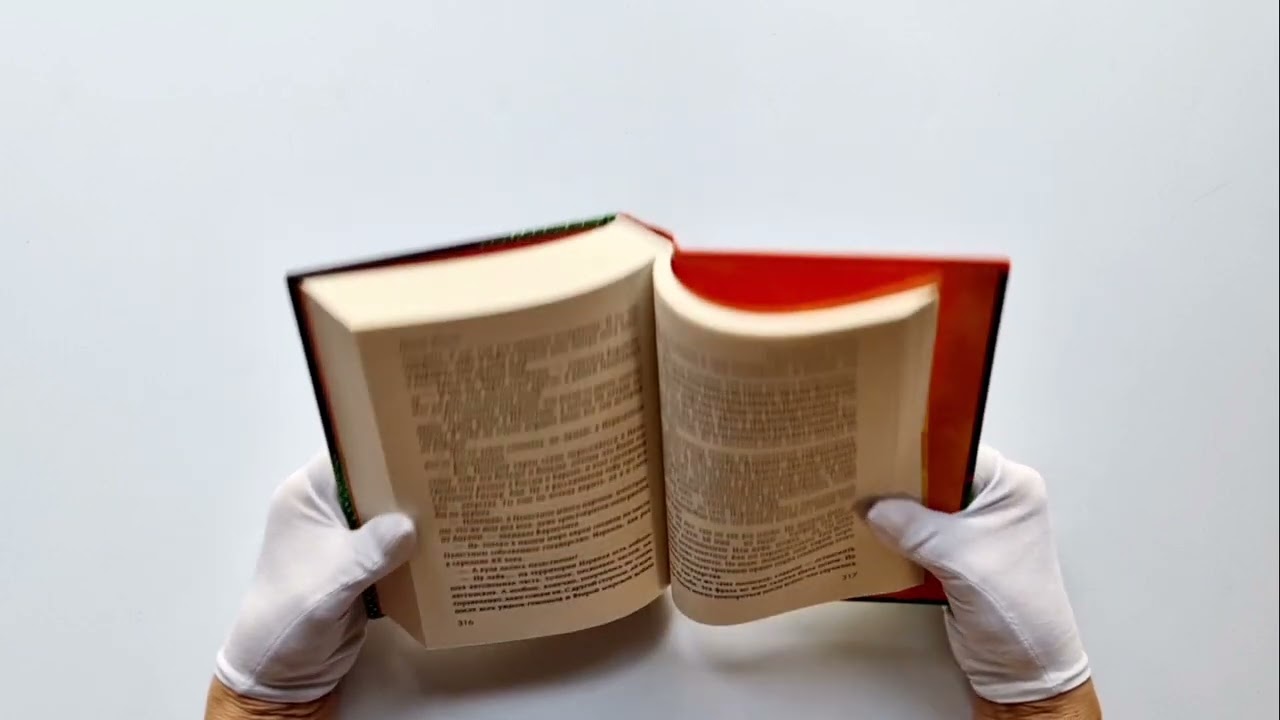 Книга Путешествия Лейлы (Дания Жанси) — 3
