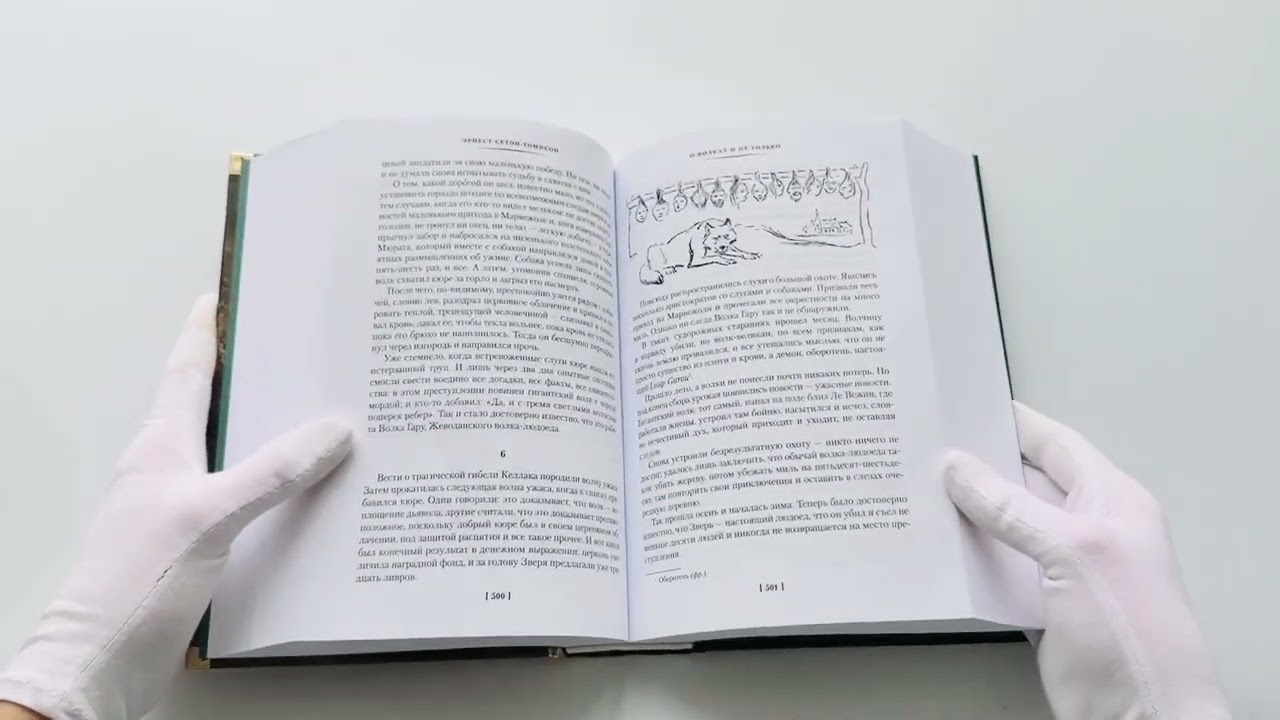 Книга Рольф в лесах. Лесные рассказы (Эрнест Сетон-Томпсон) — 3