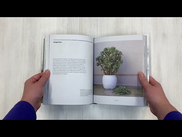 Книга Зеленый дом. Самое понятное руководство по уходу за комнатными растениями (Дэррил Ченг) — 3