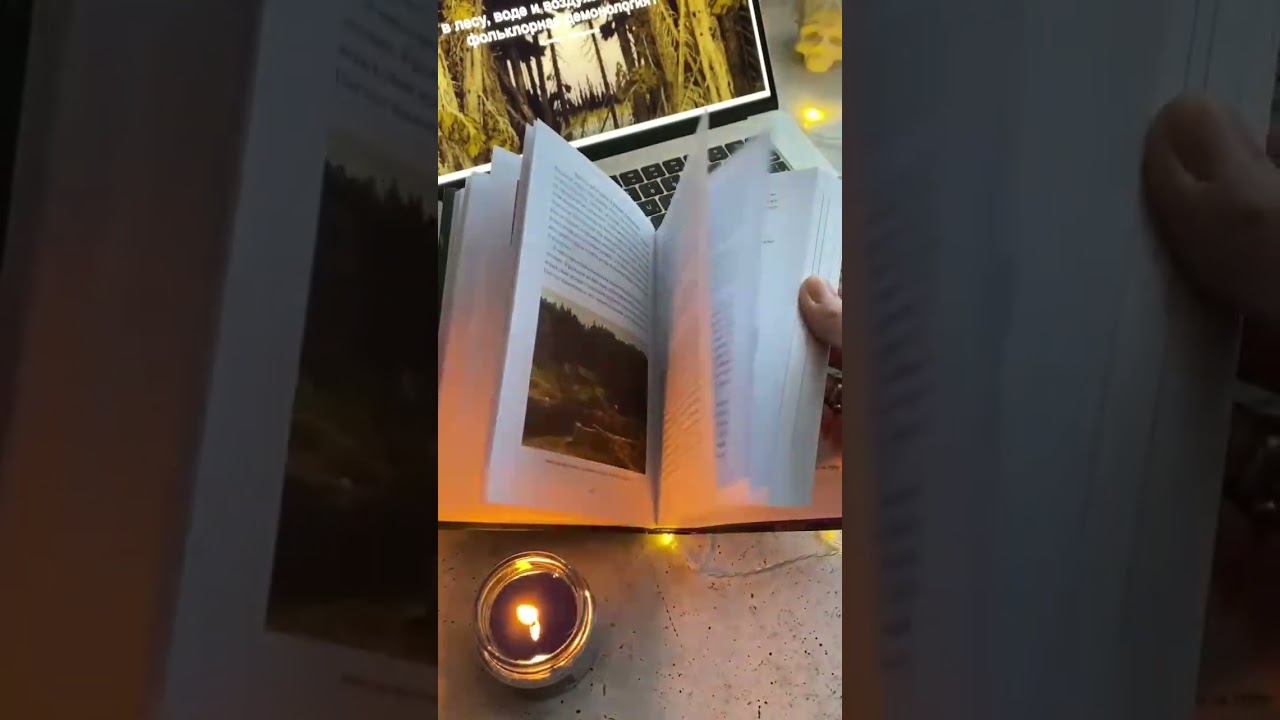 Книга Русская фольклорная демонология. От оборотней и мертвецов до русалок и огненного змея (Владимир Рябов) — 3